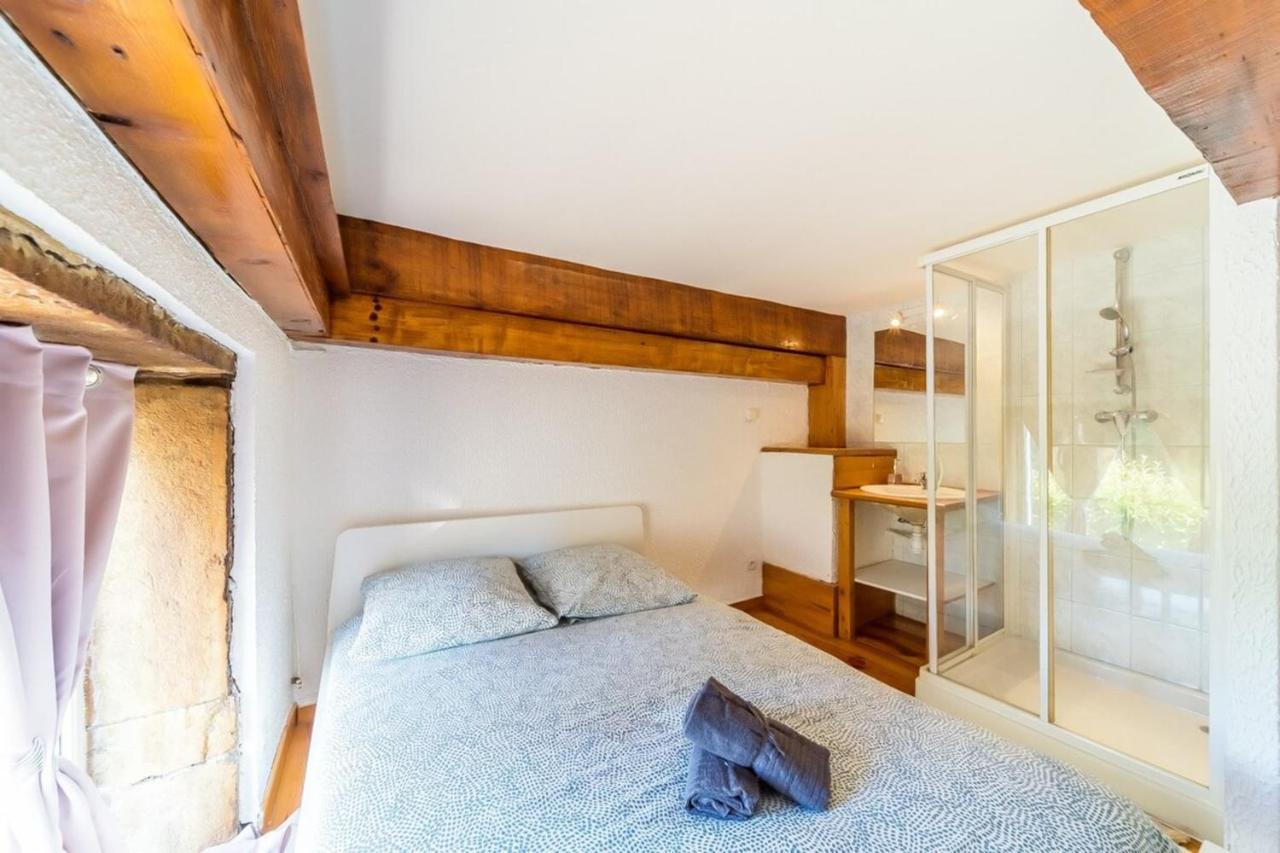 The Charming Fleury 2 Bedrooms Oullins Extérieur photo